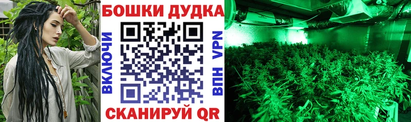 Бошки марихуана семена  кракен как зайти  Ейск 